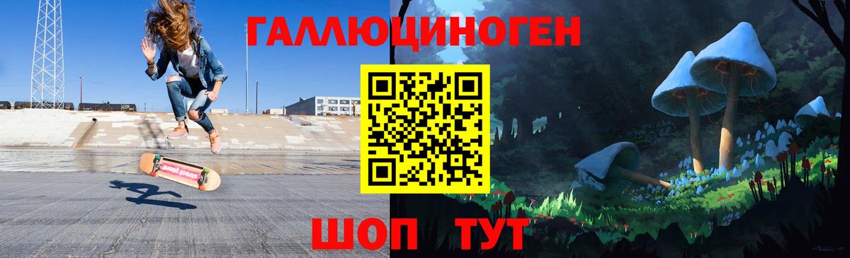 Псилоцибиновые грибы GOLDEN TEACHER  Галлюциногенные грибы GOLDEN TEACHER  Щёлково  Вход с VPN 